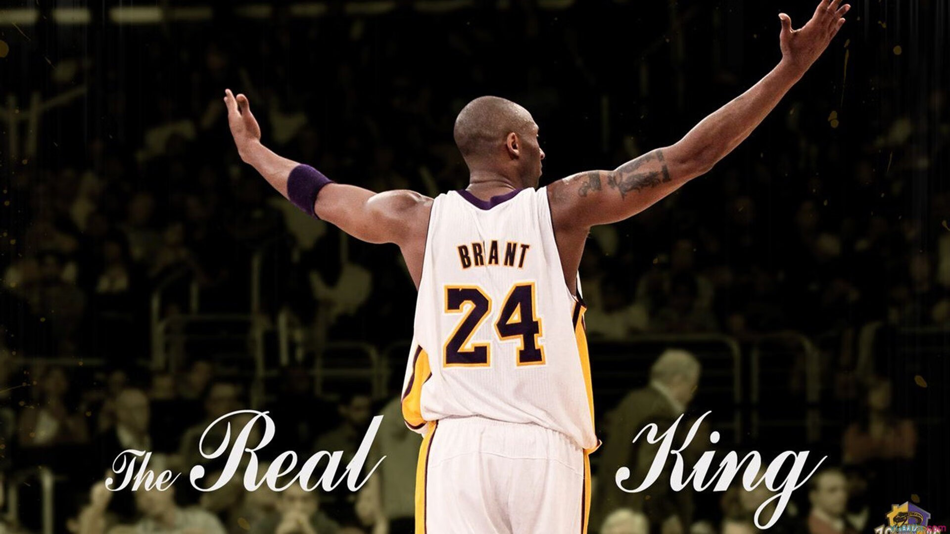 瑞士传统马术赛事“Schwingfest”在2024年成功举办，吸引众多观众参与。